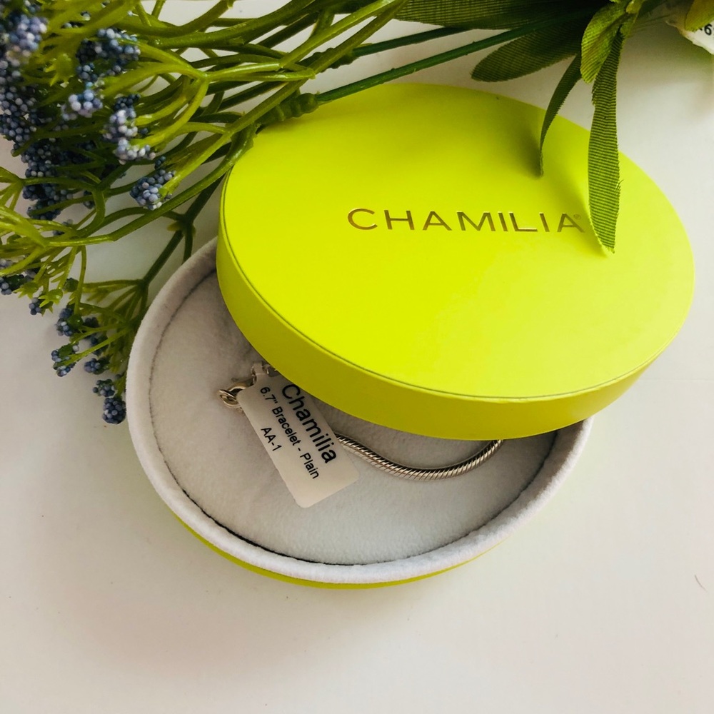 Chamilia Sterling Bracelet with Lime Green Jewelry Box 6.7 inches - Picture 5 of 12